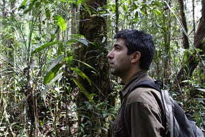 Serge Wich in a Sumatran rain forest