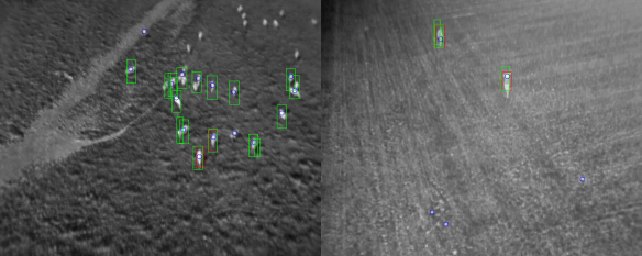 cows_and_human_detections